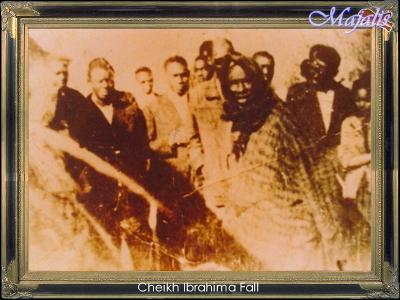 cheikh ibrahima fall